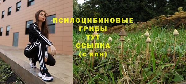 скорость Няндома