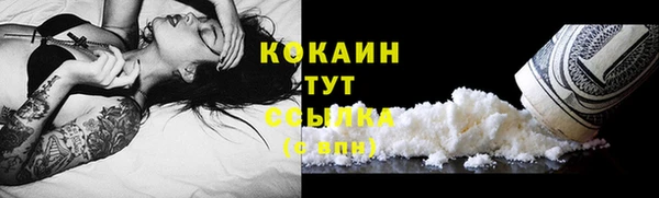 крисы Нягань