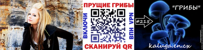 кракен как зайти  Сорск  Галлюциногенные грибы мицелий 
